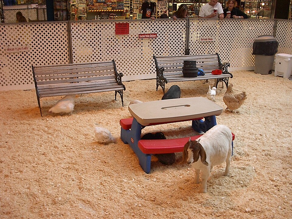 Kinderboerderij Woolthuisweg