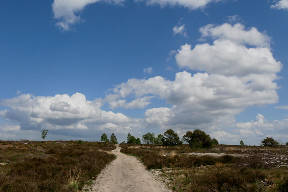 Zandpad door de heide op de Holterberg onder een wolkenlucht