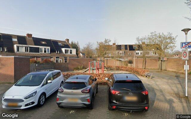 Speeltuin Basilicumpad
