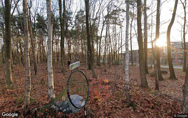 Speelbos Eschmarke