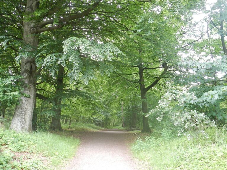 Stadswandeling Hengelo Herrezen — Natuur in Overijssel