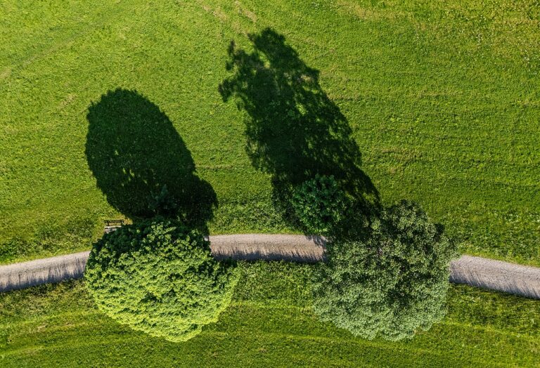 Popronde — Natuur in Overijssel