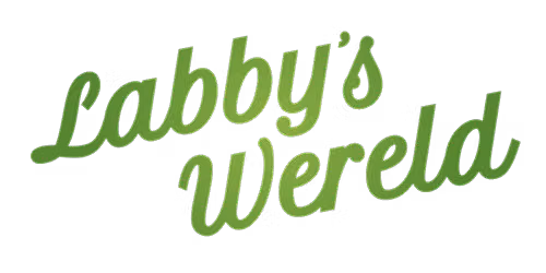 Labby’s Wereld – Het Magische Doolhof
