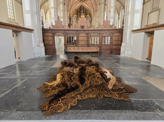 Bianca Runge | Expositie: Labyrint van de Toekomst – Onderhuids — museum-expo in Overijssel