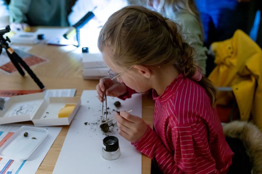 Nacht van de Nacht 2026 – festival voor de hele familie! in Overijssel
