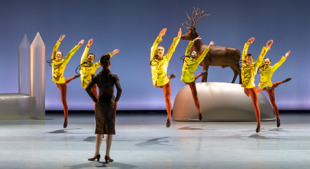 Swan Lake – Introdans in Overijssel