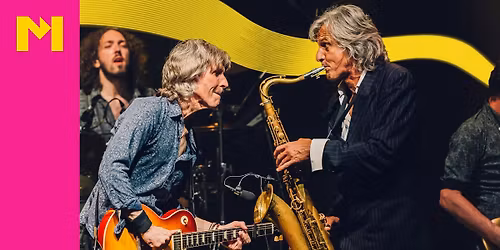 The Dire Straits Experience — muziek in Overijssel