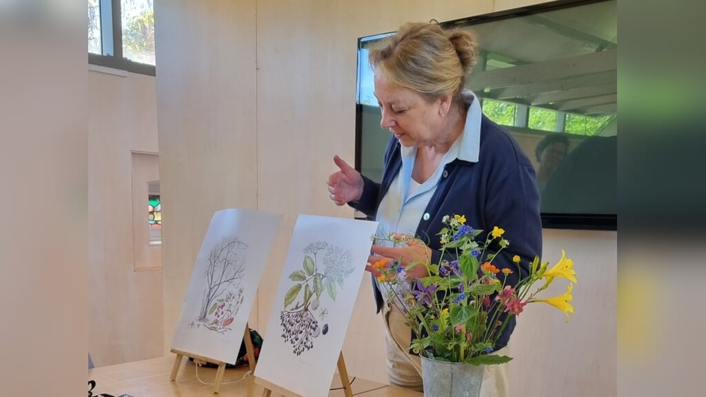 Workshop botanisch tekenen in de tuinen van Mien Ruys in Dedemsvaart in Overijssel