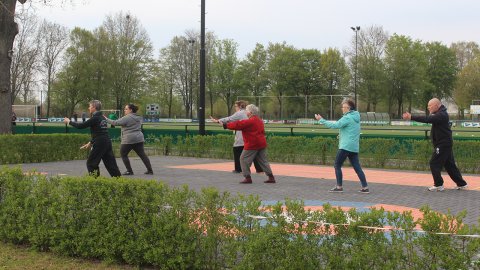 Taoïstische tai chi — sport in Overijssel