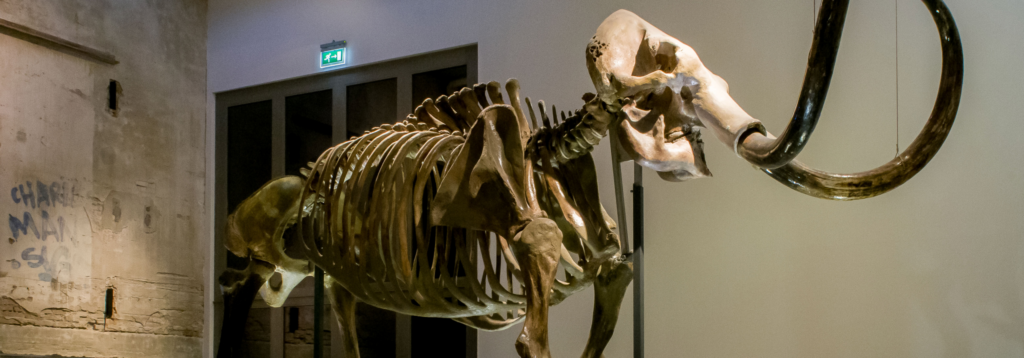 Gratis instaprondleiding: ‘Van mammoet naar stoommachine’ in Enschede