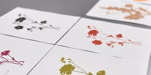 Workshop Zeefdruk met Winterbloemen — open-dag in Overijssel